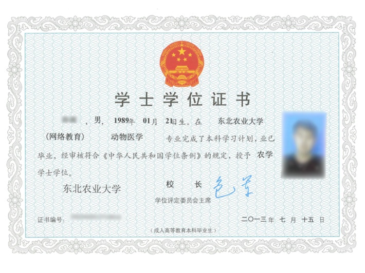 東北農(nóng)大專升本有什么專業(yè)可以報(bào)