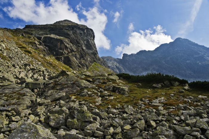 讀完礦山機(jī)電技術(shù)專升本要多少學(xué)費(fèi)？