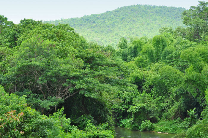 林學(xué)專升本一年需要學(xué)費(fèi)多少？怎么報(bào)名繳費(fèi)？