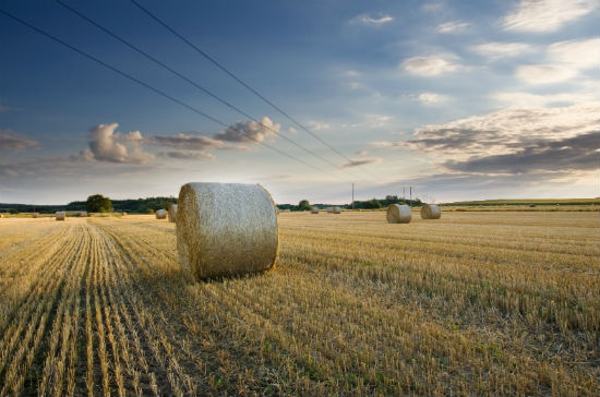 考生學(xué)習(xí)農(nóng)林經(jīng)濟(jì)管理專升本提升學(xué)歷需要多長時(shí)間畢業(yè)？