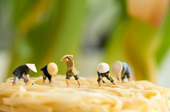 農(nóng)學(xué)專升本要什么條件？滿足什么樣的條件才能報名？