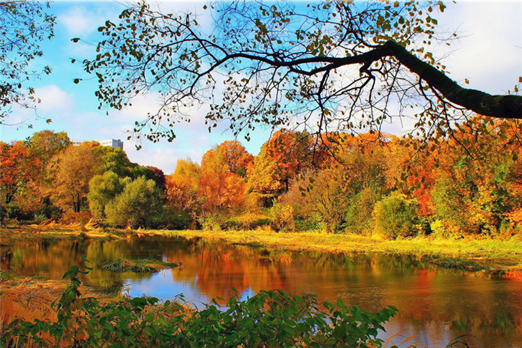 臺州學(xué)歷提升要多久時間？