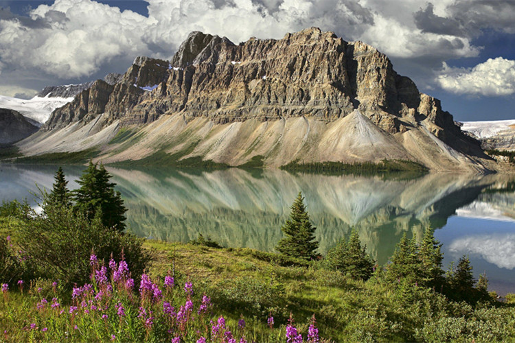 東營怎么快速升學(xué)歷?