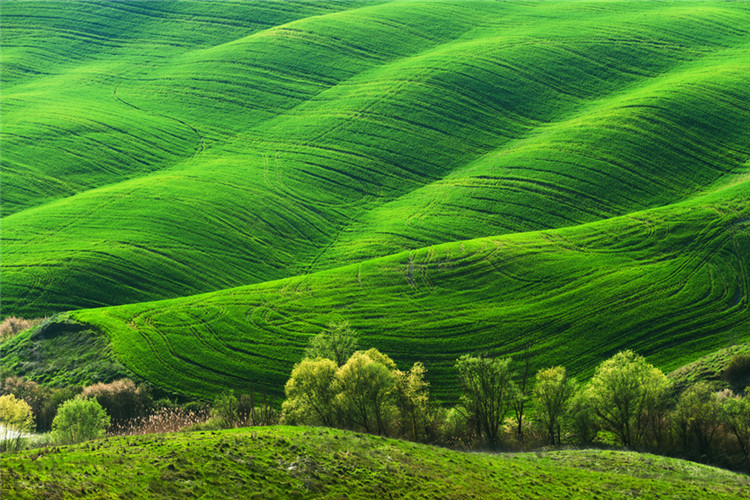 南陽比較靠譜的學(xué)歷提升機(jī)構(gòu)