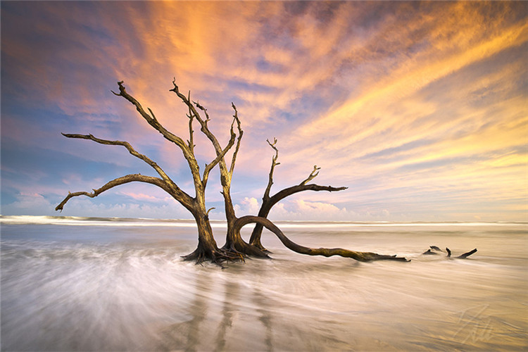 學(xué)前教育專科升本科網(wǎng)絡(luò)教育怎么樣？