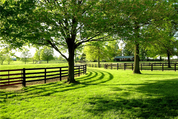 東北師范大學(xué)學(xué)前教育專業(yè)專升本怎么樣？