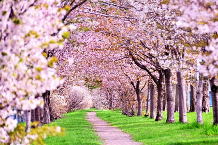 駐馬店專升本學(xué)校有哪些？