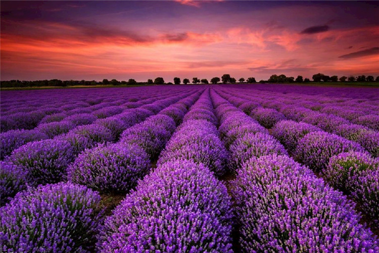 黃山專升本院校有哪些？