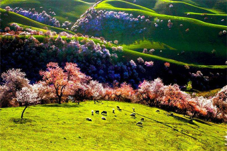 汕尾成人專(zhuān)升本院校有哪些？