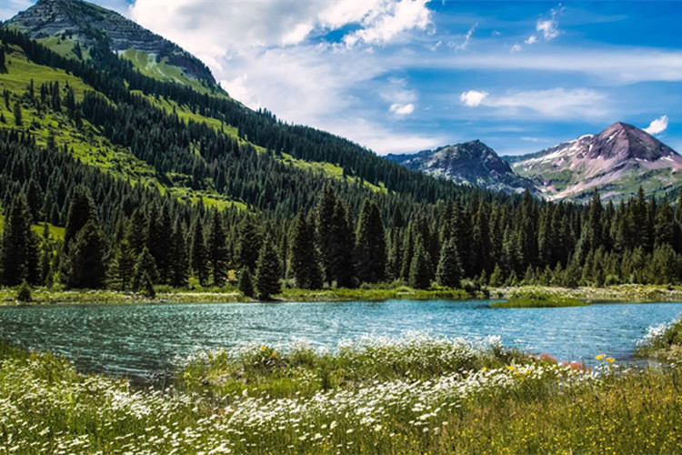 江南大學(xué)的工商管理專升本怎么樣？