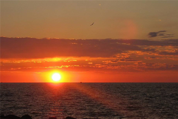 思想政治教育如何專升本？