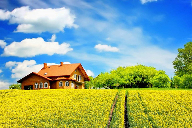 雅安專升本網(wǎng)上如何報(bào)名？