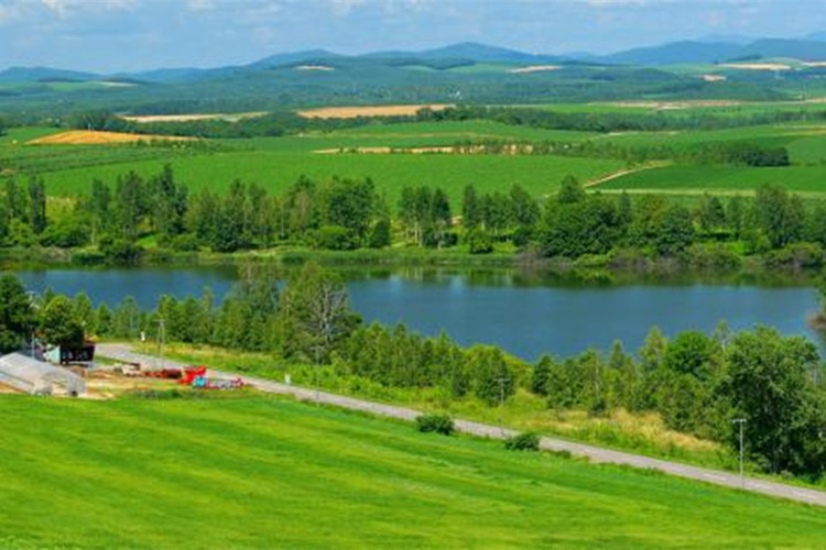 承德怎么報考專升本？