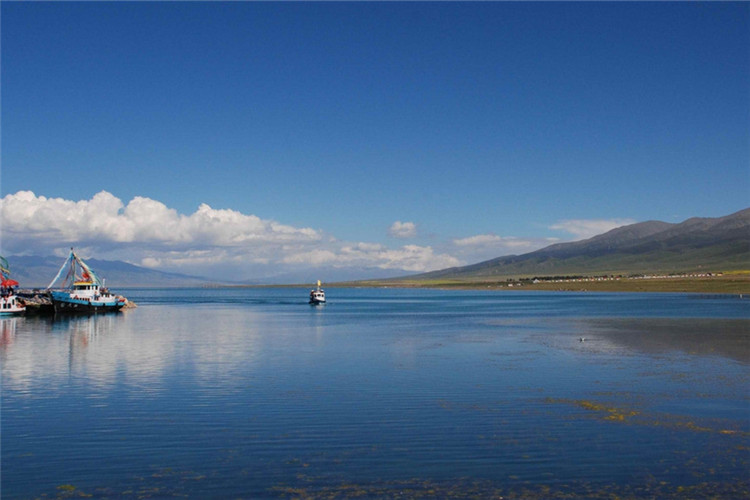 江南大學(xué)網(wǎng)絡(luò)教育怎么申請免試入學(xué)？