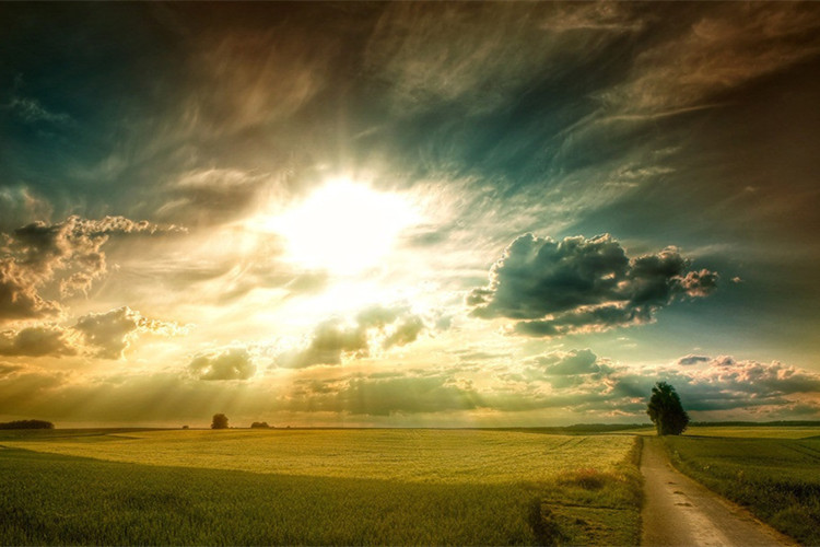 西北工業(yè)大學遠程教育能不能免試入學？要什么條件？