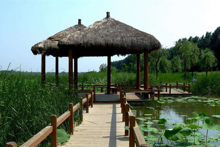 新余專升本院校有哪些？