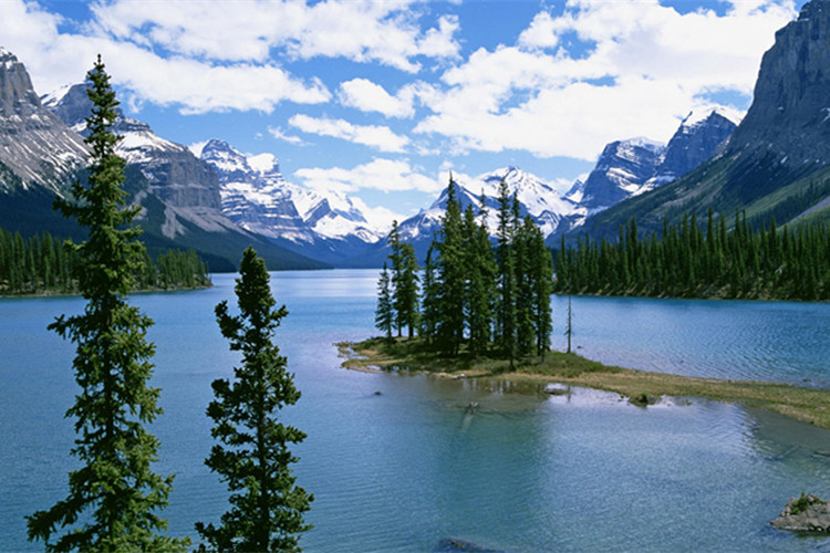 中衛(wèi)專升本能在網(wǎng)上報(bào)名嗎？怎么報(bào)？