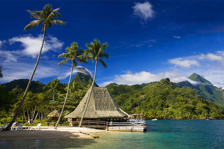 思想政治教育專業(yè)自考本科考什么科目？