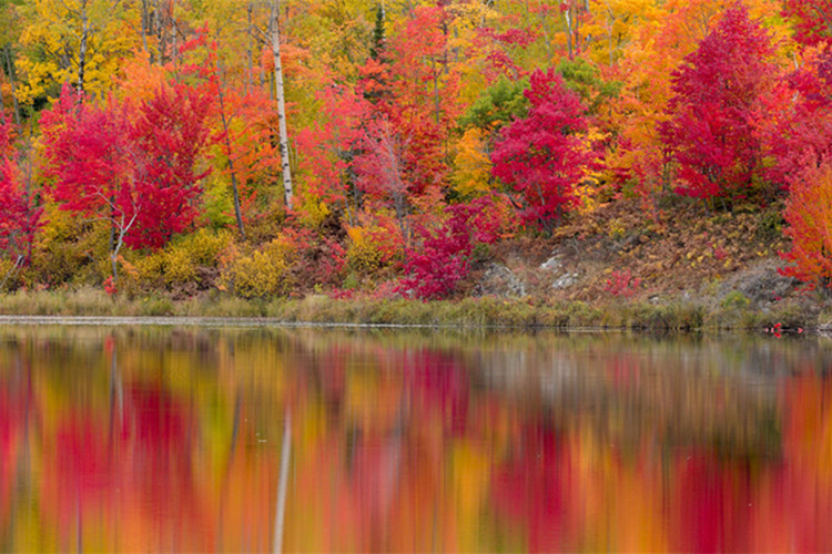 思想政治教育專升本院校有哪些？