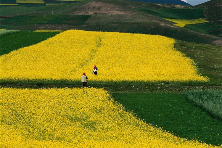 體育教育專業(yè)專升本有哪些院校？
