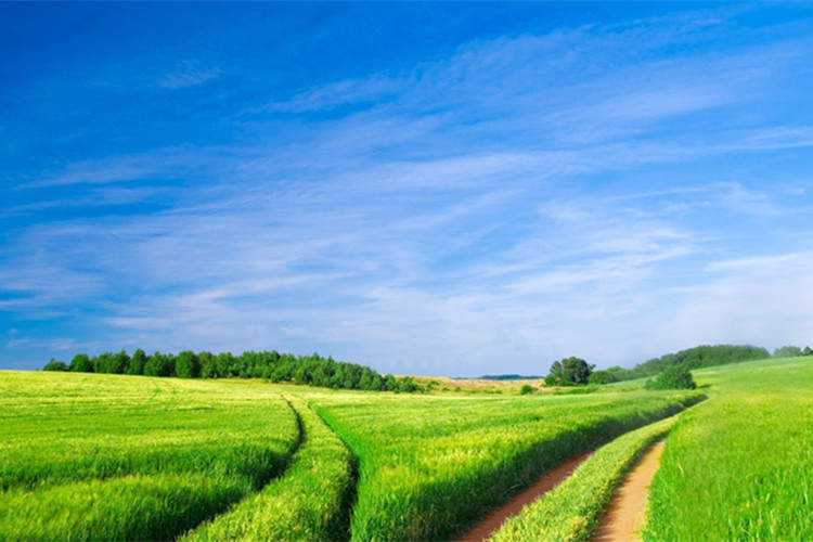 報(bào)考隴南專升本有哪些學(xué)校可以選擇？