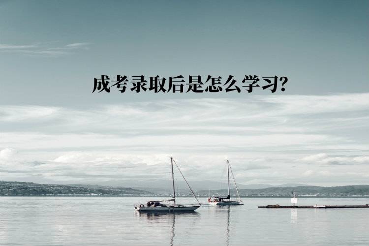 成考錄取后是怎么學(xué)習(xí)？