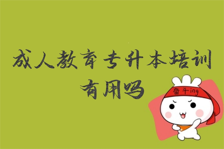 成人教育專升本培訓(xùn)有用嗎?