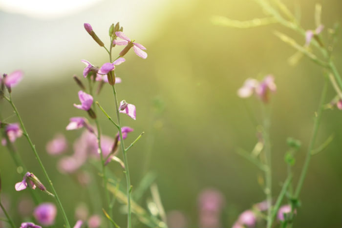 四川大學(xué)專升本難嗎？