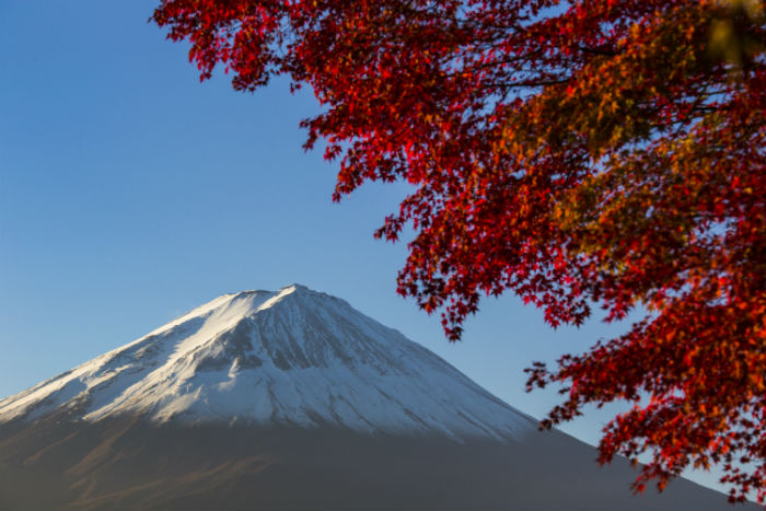 東北農(nóng)業(yè)大學(xué)專升本考什么？