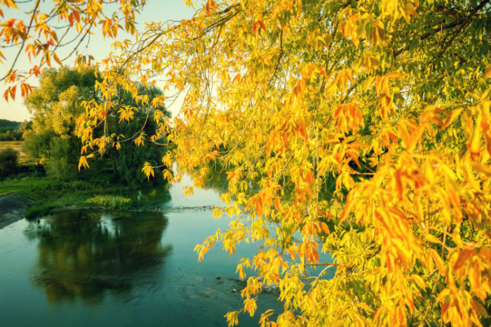 萍鄉(xiāng)專升本哪個培訓(xùn)機(jī)構(gòu)好？靠譜嗎？