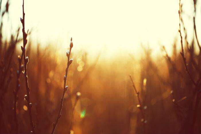 儋州專升本哪個培訓(xùn)機構(gòu)好？靠譜嗎？