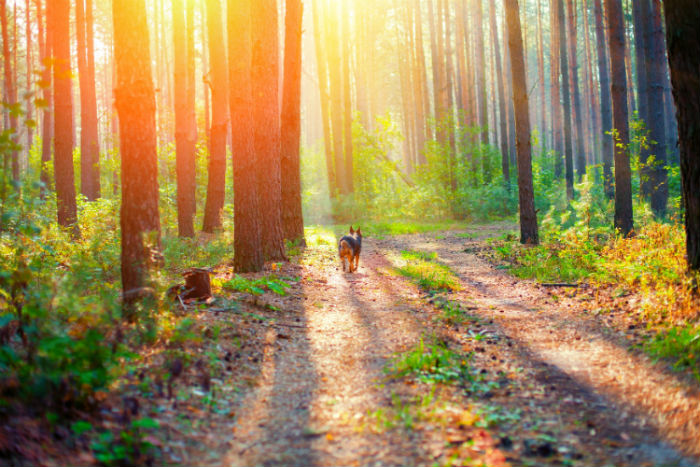 武威成人專升本學(xué)歷提升哪個培訓(xùn)機構(gòu)好？