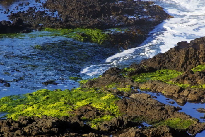 攝影專升本學(xué)費(fèi)多少錢？