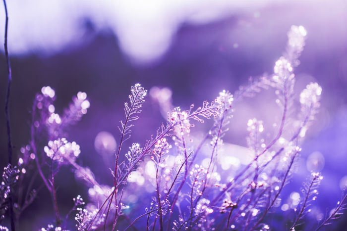 蘭州大學(xué)網(wǎng)絡(luò)教育學(xué)院更新招生簡(jiǎn)章了嗎？報(bào)考要求有沒(méi)有變化？