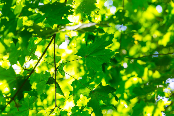 視覺(jué)傳達(dá)設(shè)計(jì)專升本什么時(shí)候能學(xué)完課程并畢業(yè)？