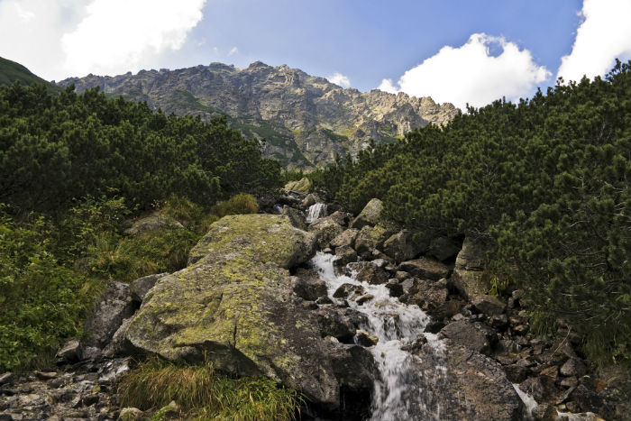 上海專升本學歷和畢業(yè)文憑有什么用嗎？