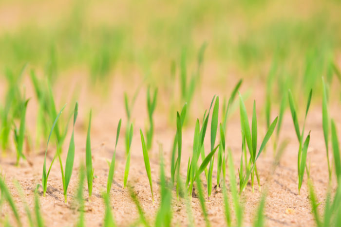 上海專升本函授文憑和遠程教育文憑哪個好用？