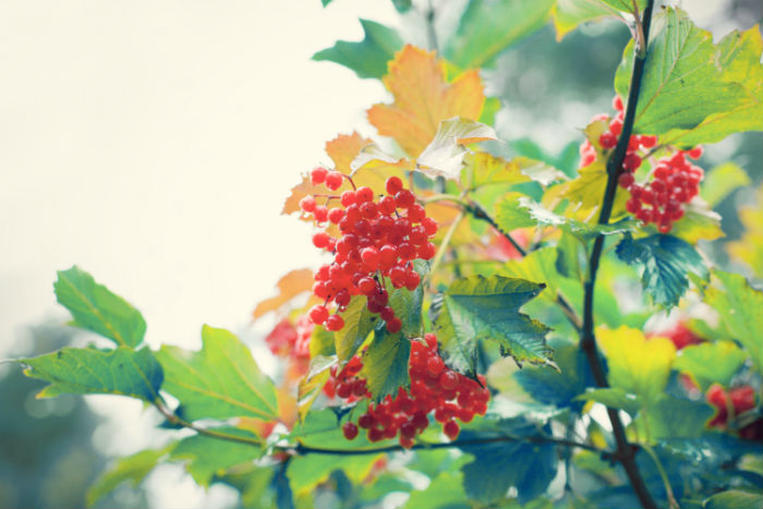 視覺(jué)傳達(dá)設(shè)計(jì)專(zhuān)升本考生報(bào)名學(xué)校哪個(gè)院校實(shí)力好？