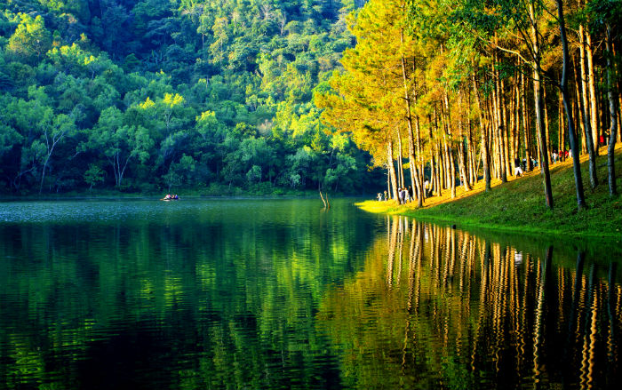 揭陽專升本報(bào)名時(shí)間和報(bào)考官方途徑地址分別是什么？