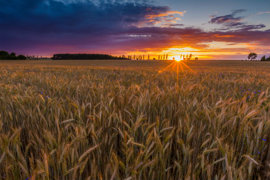 渭南專升本招生學(xué)校報(bào)名考試時(shí)間是什么時(shí)候和在哪兒能報(bào)名？