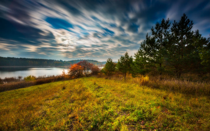 專升本學(xué)生今年能報(bào)名東北財(cái)經(jīng)大學(xué)網(wǎng)絡(luò)教育學(xué)院專業(yè)嗎？