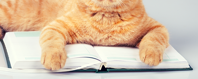 廣西金融職業(yè)技術(shù)學(xué)院可以專升本嗎