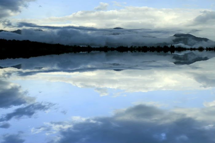 ?？粕究埔x幾年