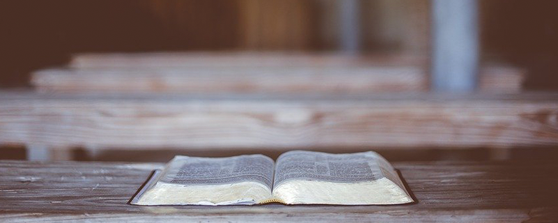 哪些學(xué)?？梢詫Ｉ拘枰獫M足什么條件嗎