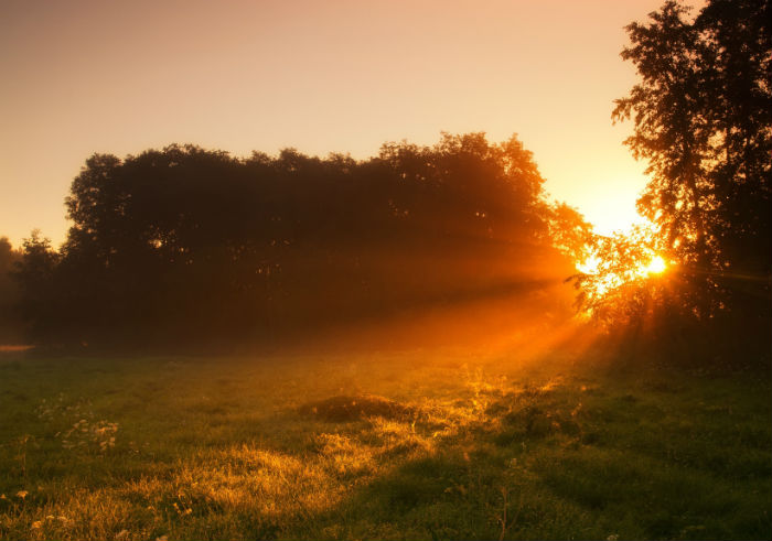 天津專升本個人報名方法