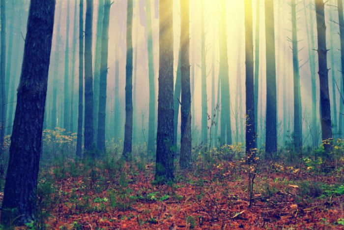 2020無錫專升本網(wǎng)上報(bào)名入口