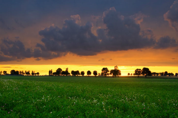 信陽專升本難嗎什么時(shí)候開始報(bào)考