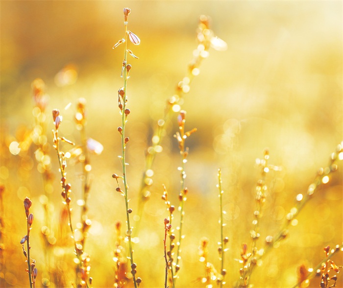 鎮(zhèn)江自學(xué)考試科目不通過有補(bǔ)考的機(jī)會嗎