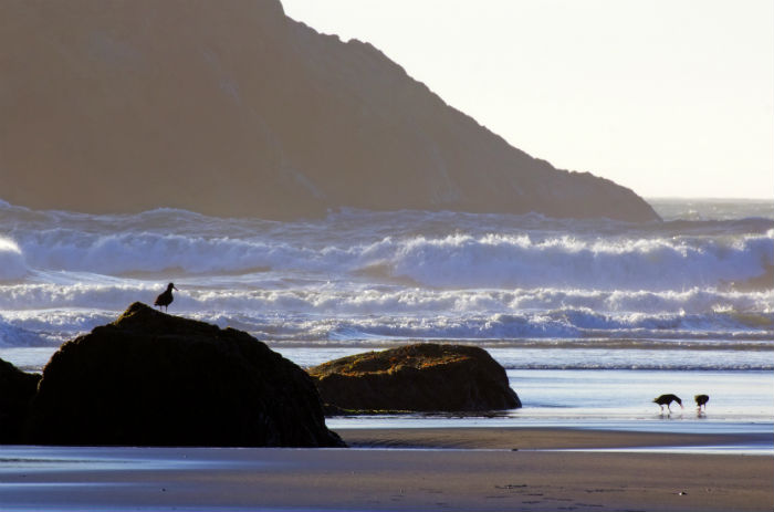 2020年廣西專升本報名方法