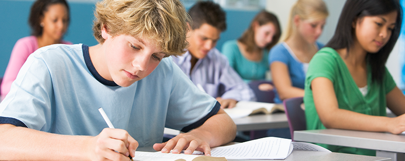 網(wǎng)絡教育學籍信息什么時候查到